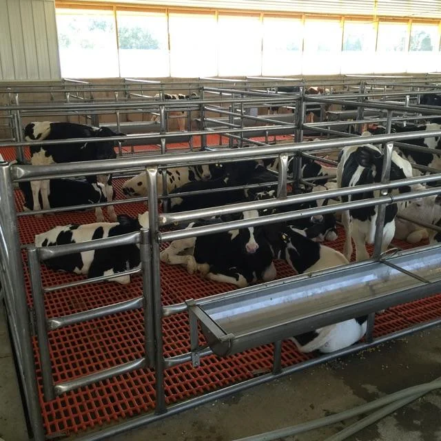 Animal Care & Housing — American Veal Association