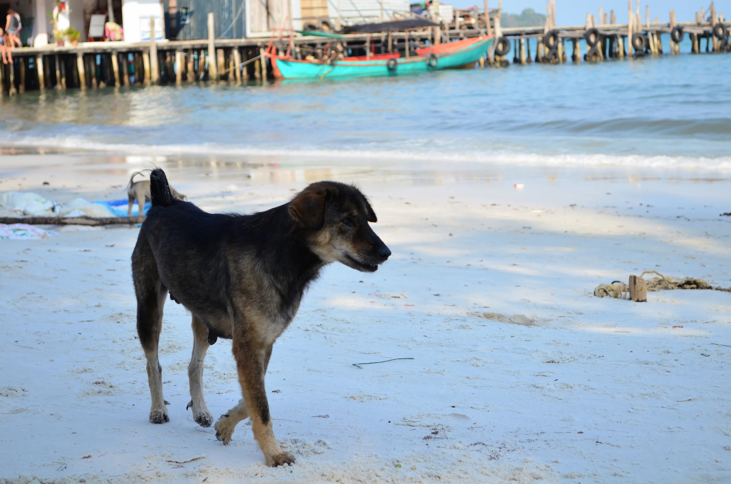 DSC_0952.JPG