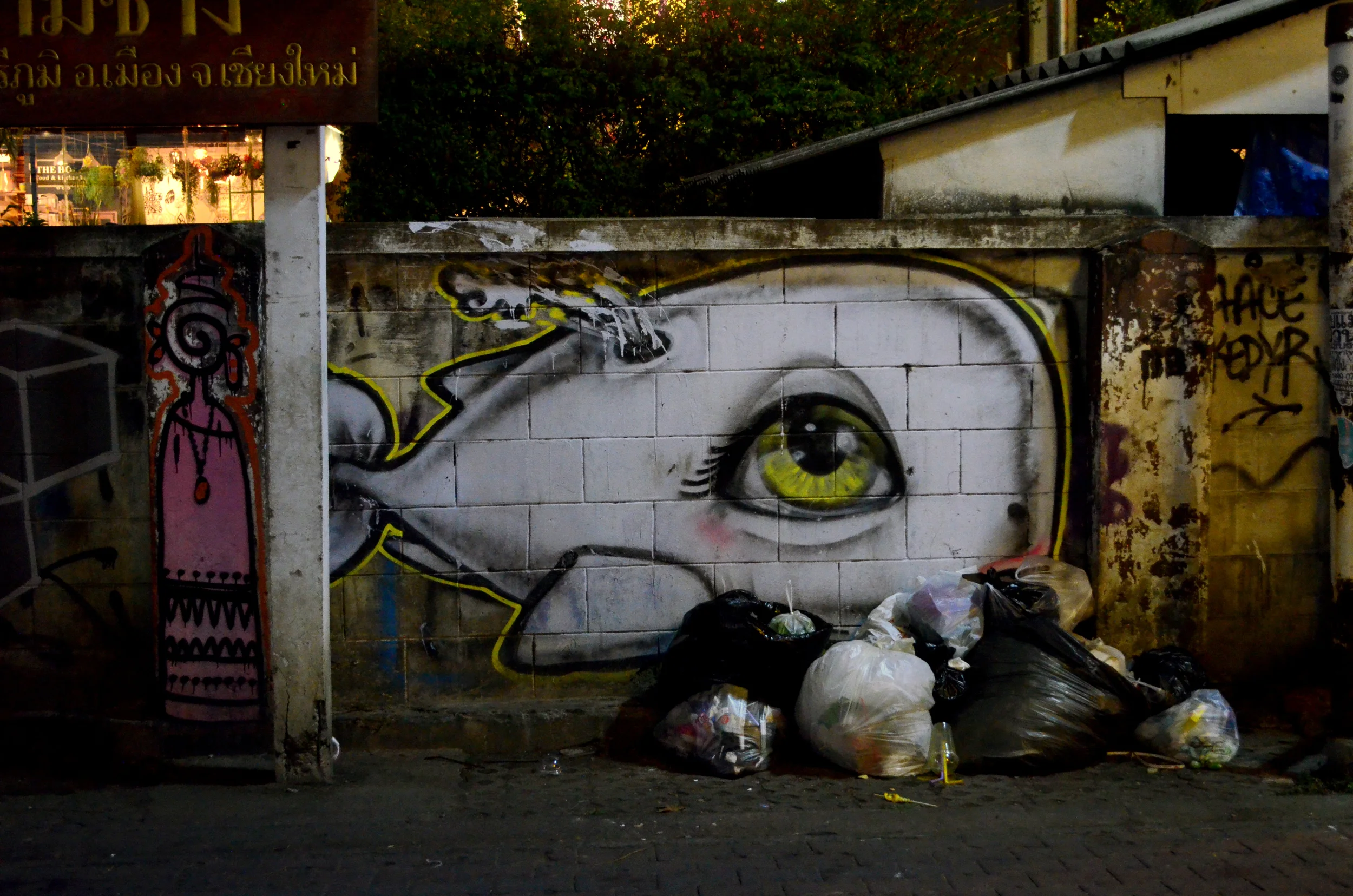 DSC_0091.JPG
