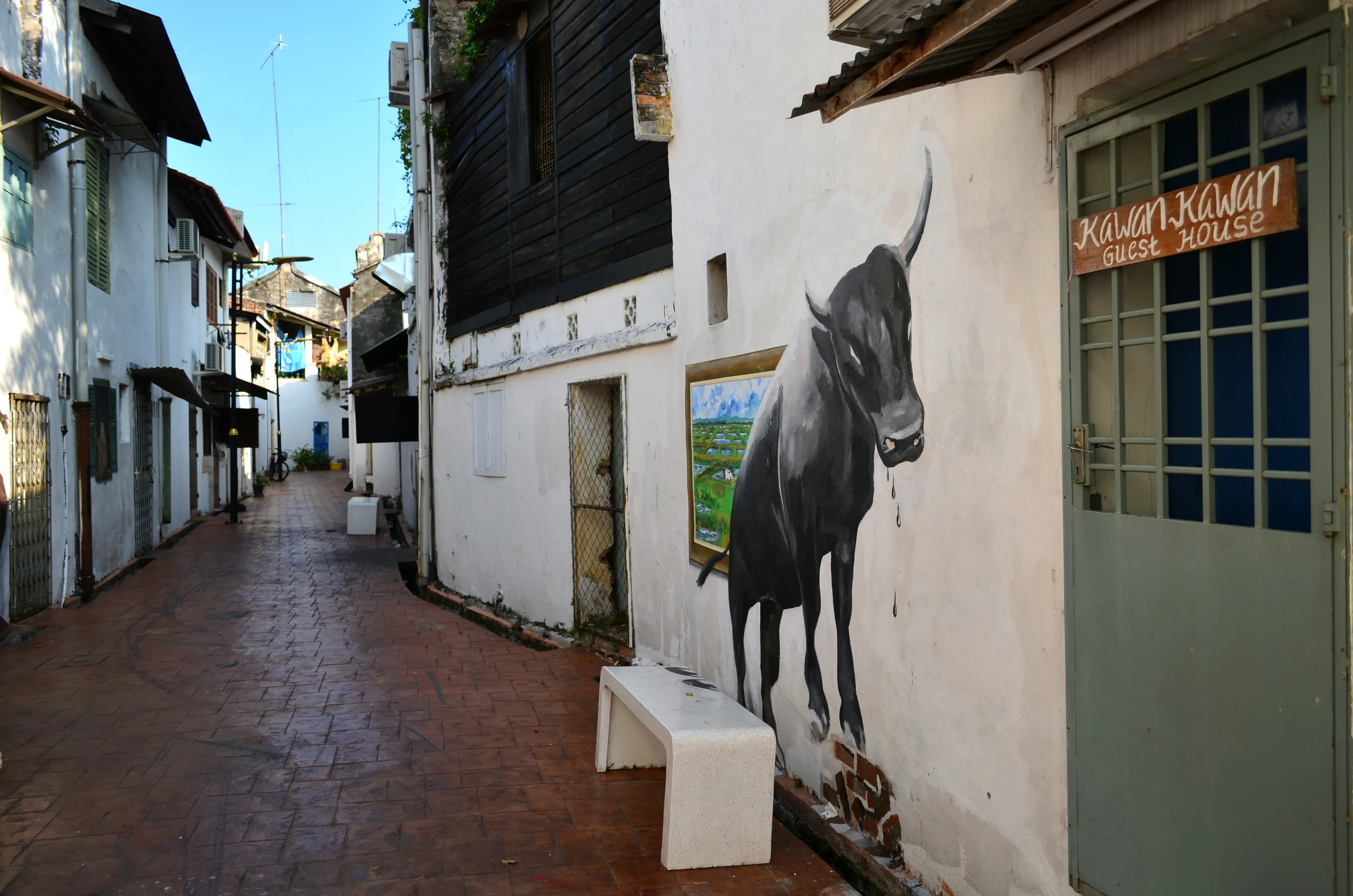 DSC_0032.JPG