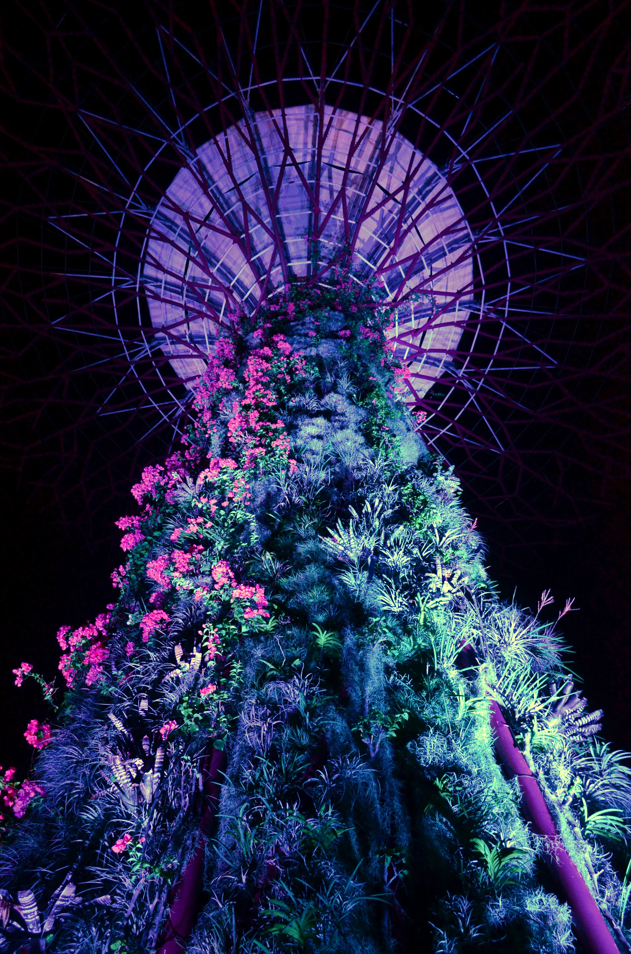 The City That Keeps Delighting 