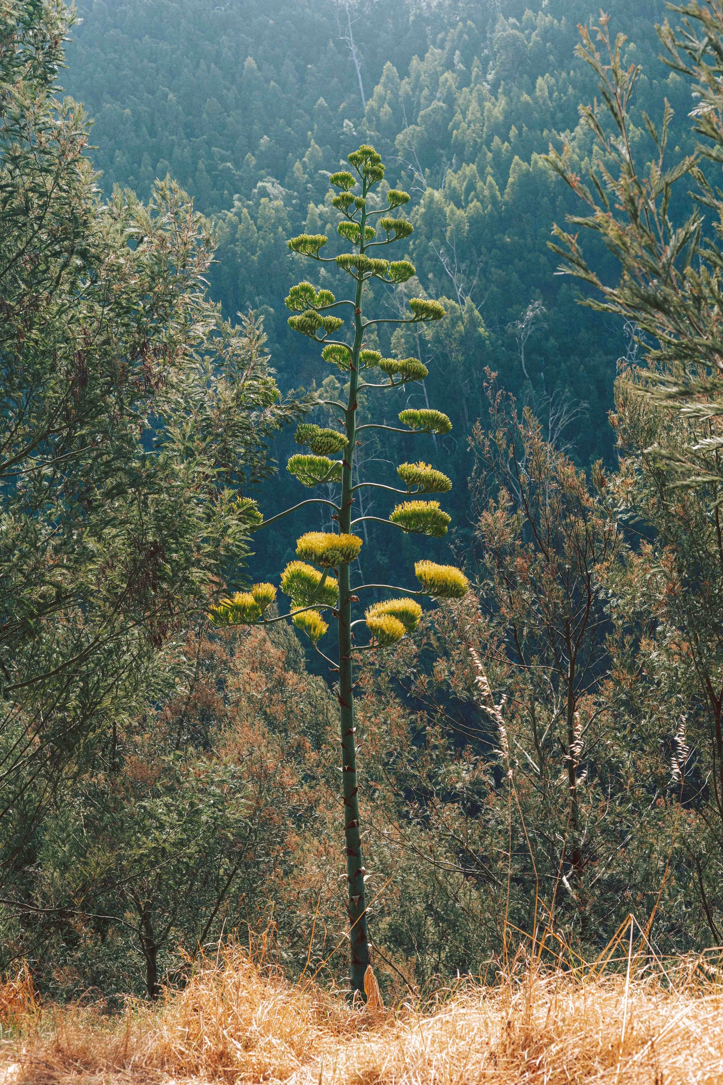 ABG02292.jpg