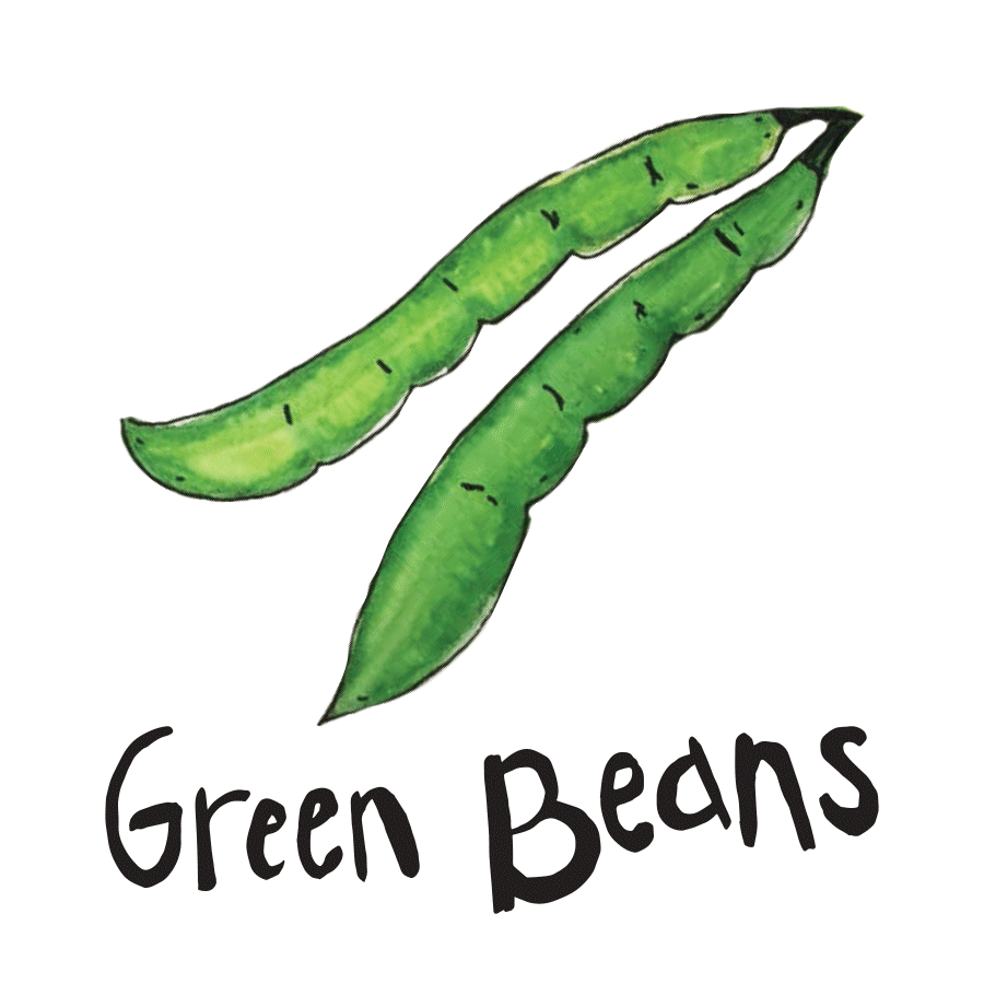 veggie_illustrations-4.png