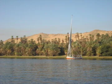 IMG_5563.jpg