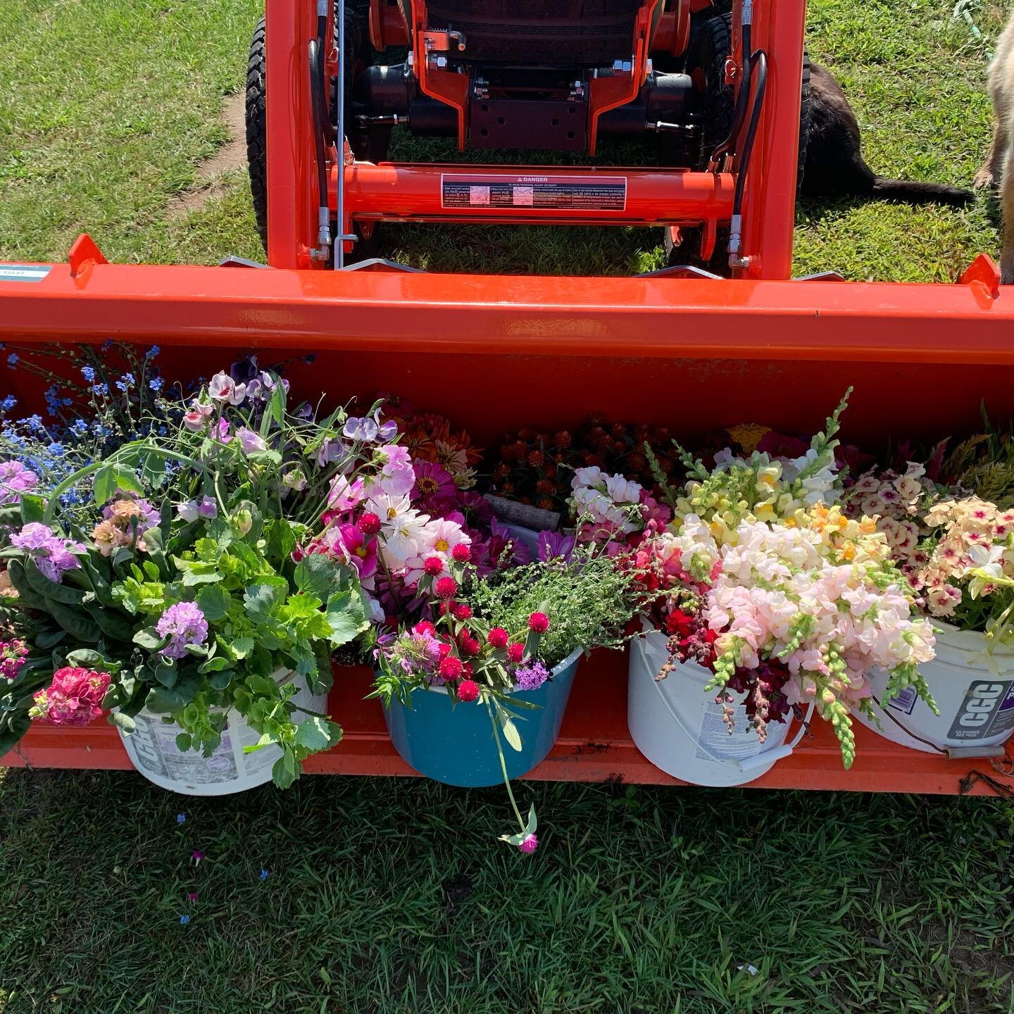 This little dream started many moons ago and got pushed to the side as life took over&hellip;then I made a stab at it again while planting my first seeds this past February, well this morning was our first of what we hope is many harvests in the week