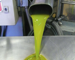 old pressed oils for detox