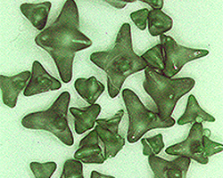 Stones eliminated through detox