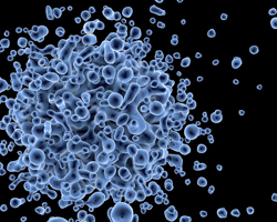 Uric acid and detox