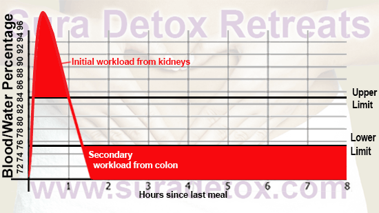 Water and health and detox