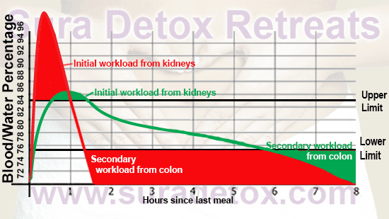 Water and health and detox