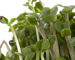 greens in diet and detox