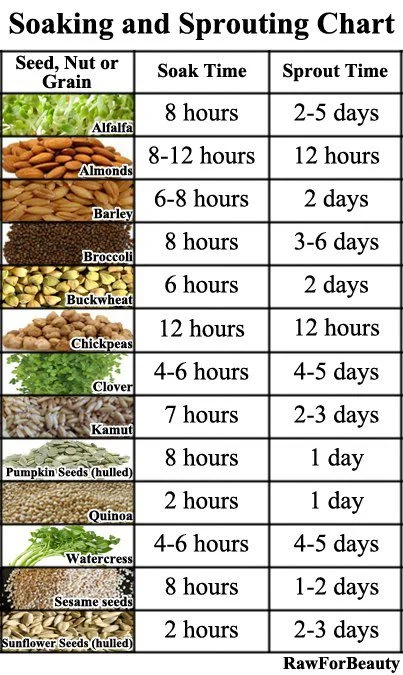 Sprouting for diet and detox