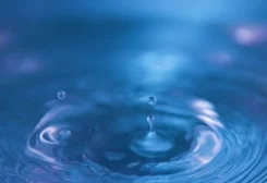 The Water of Life