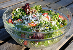 Wild Garlic Flower Salad
