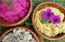 Raw Food Lessons
