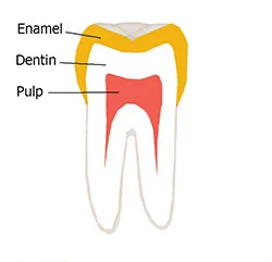 Tooth make up and detox