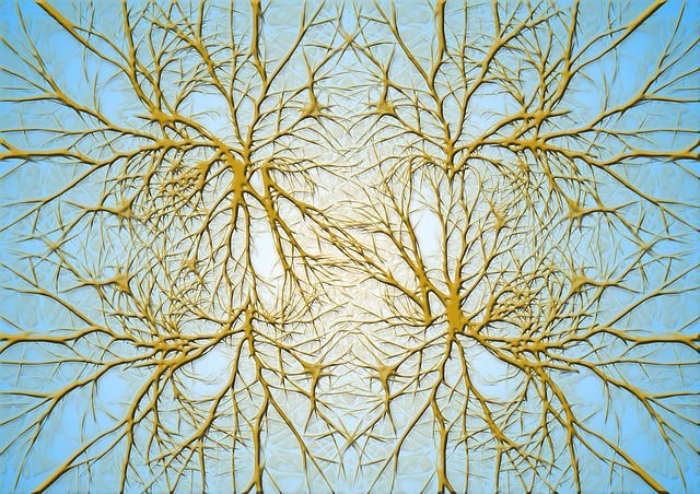 Detox and brain function