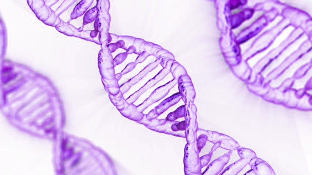 Proteins, DNA and detox