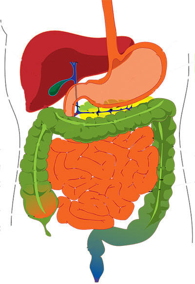 Bowels and detox retreats