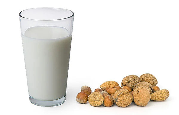 nutmilks, taught on UK detox retreats