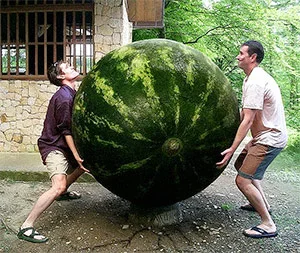 watermelon.jpg