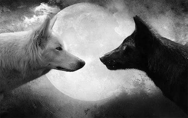 blackwhitewolf.jpg