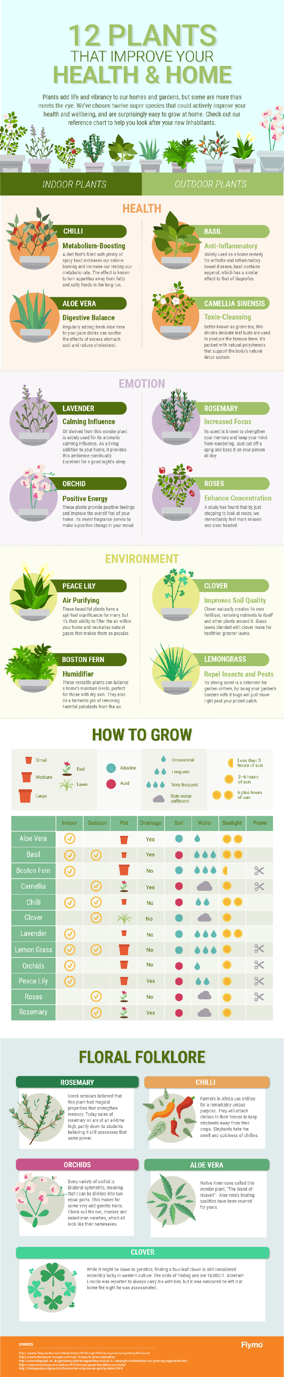 plants-that-improve-your-health-and-home-IP4453.png