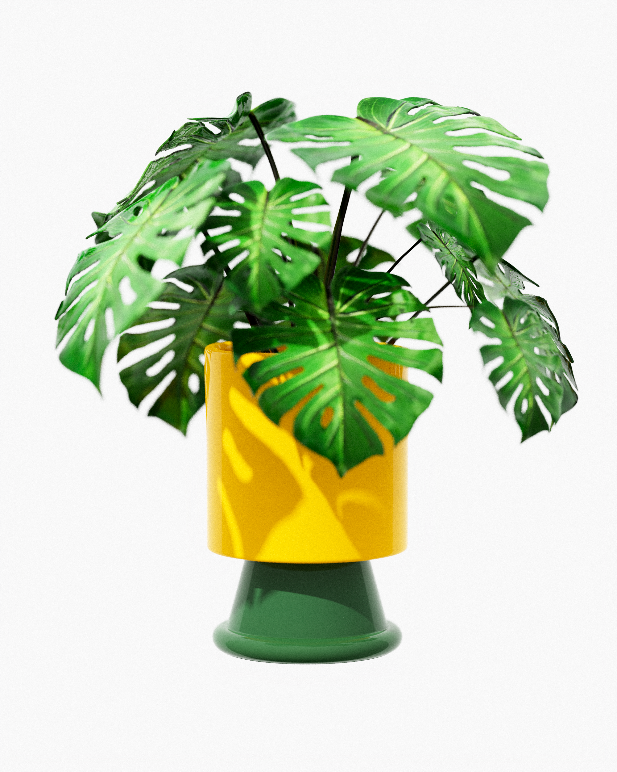 Planter new.7557.png