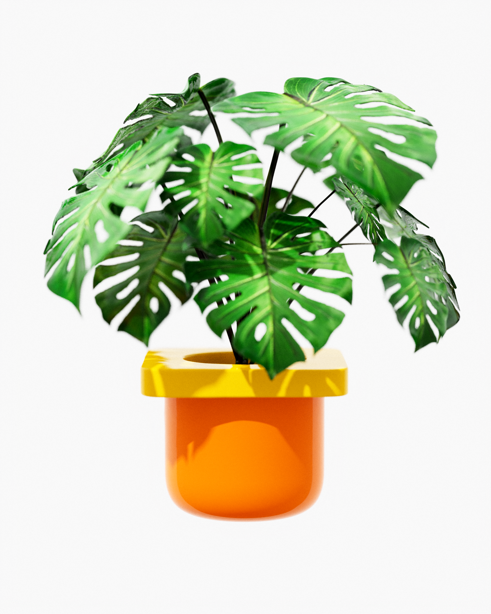 Planter new.7550.png