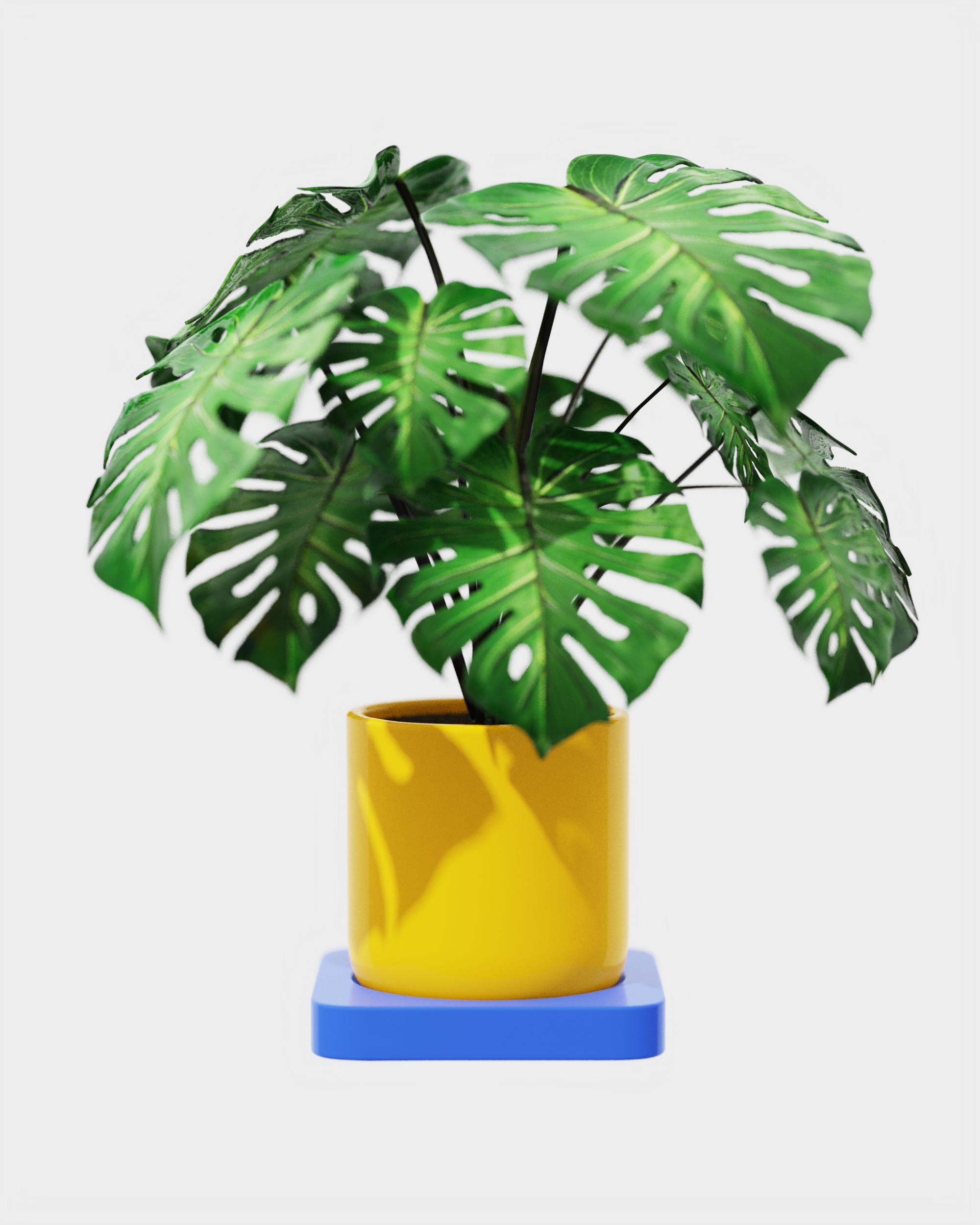 Planter new.7544.png