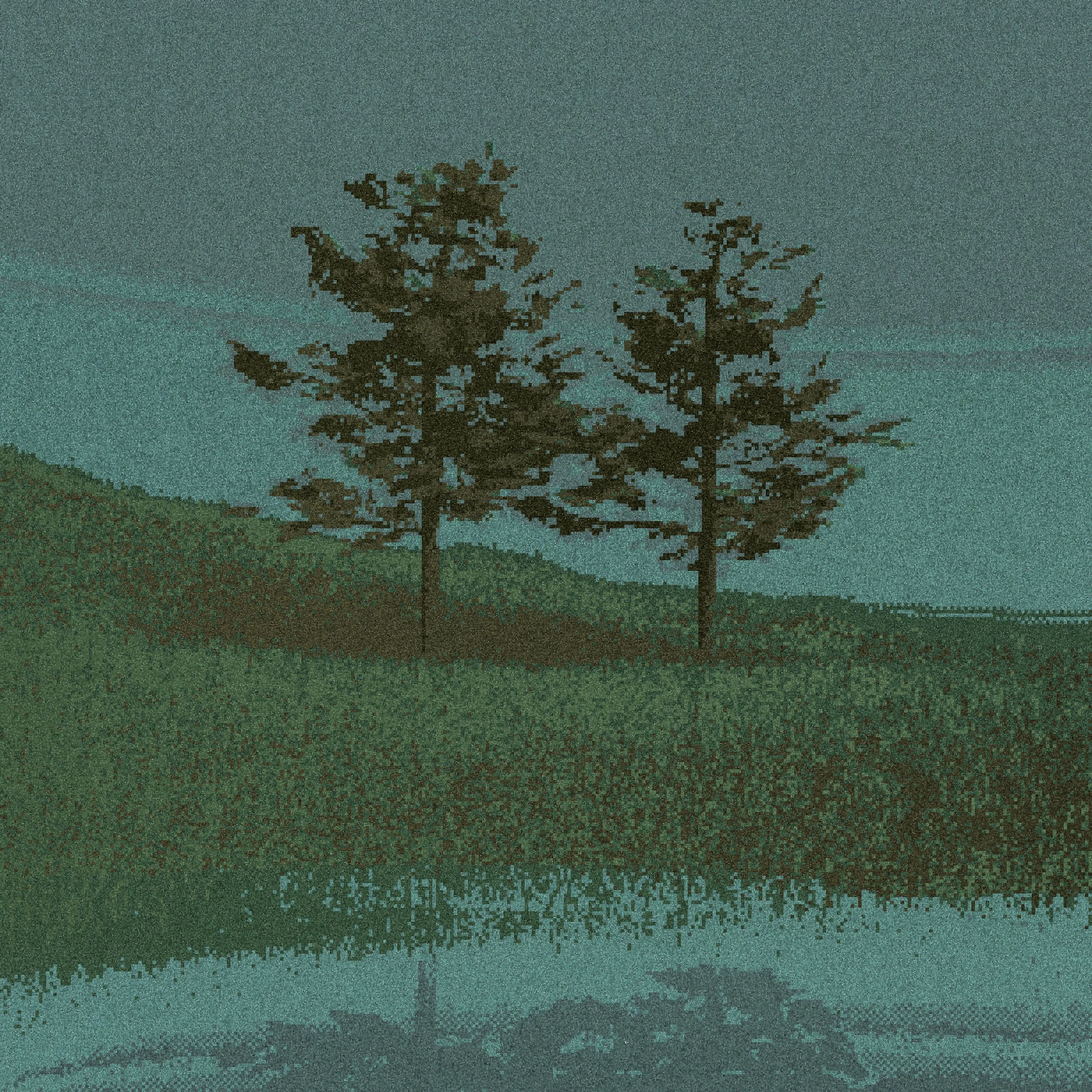 Two_Trees.jpg
