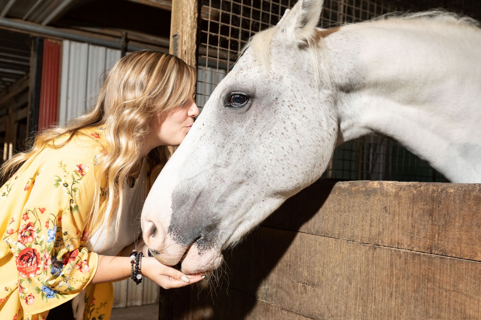 horse kiss.jpeg