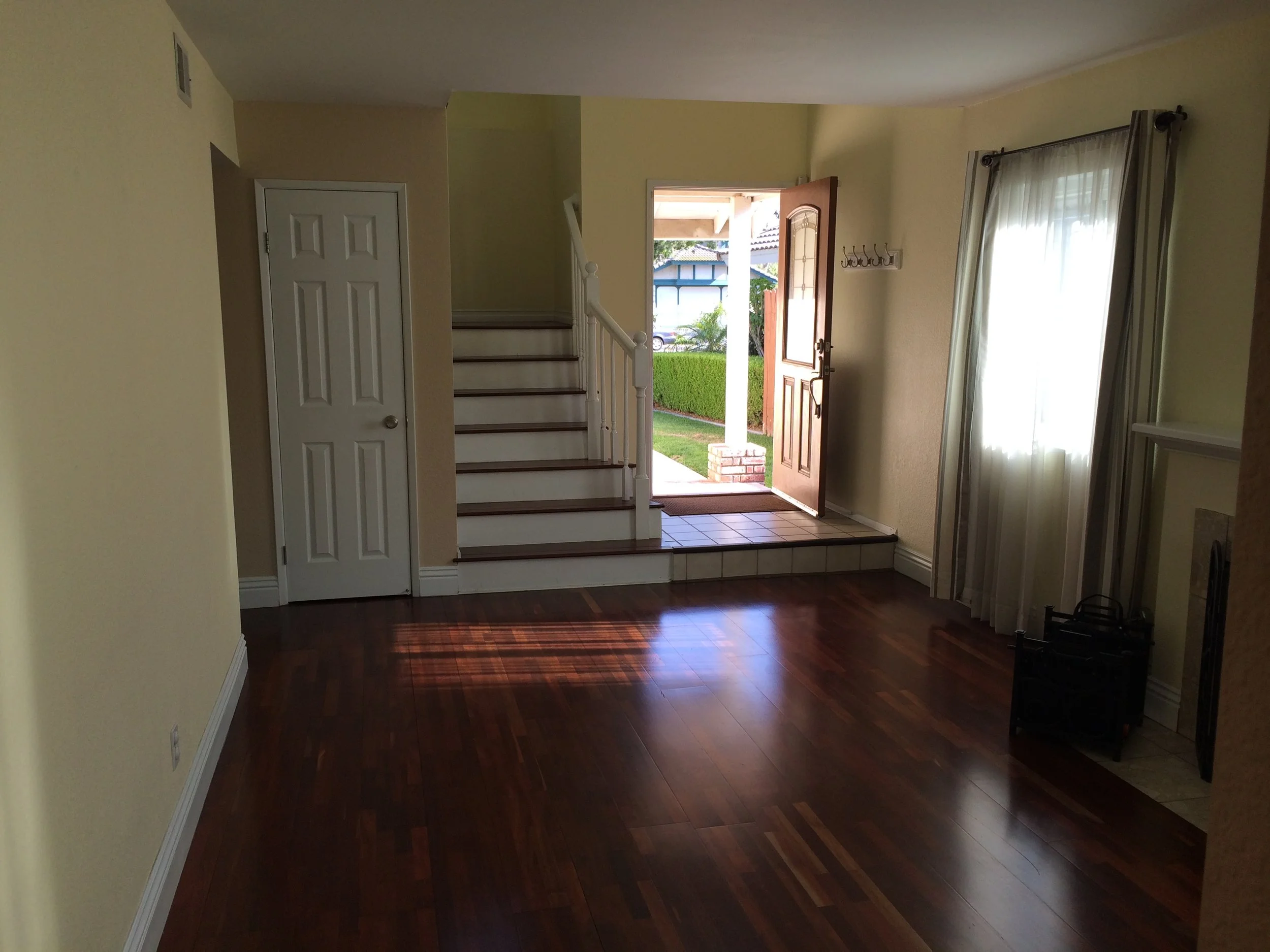 Sugar Maple LR before.JPG