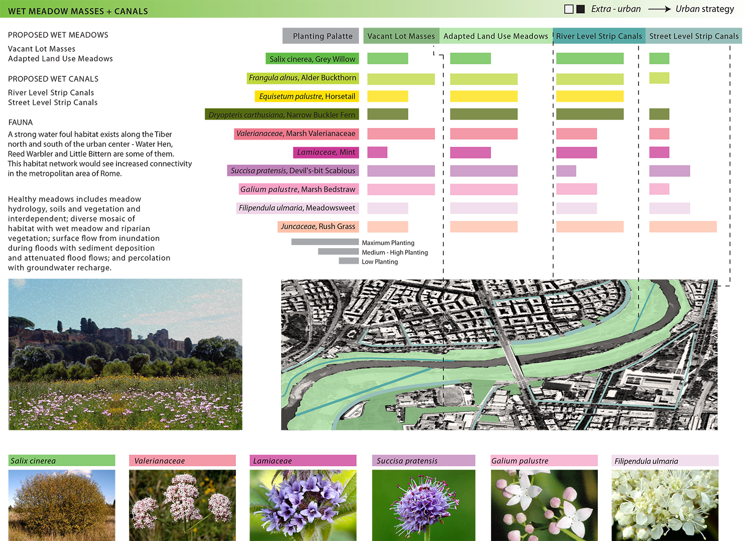 TIBER WET MEADOWS A copy.png