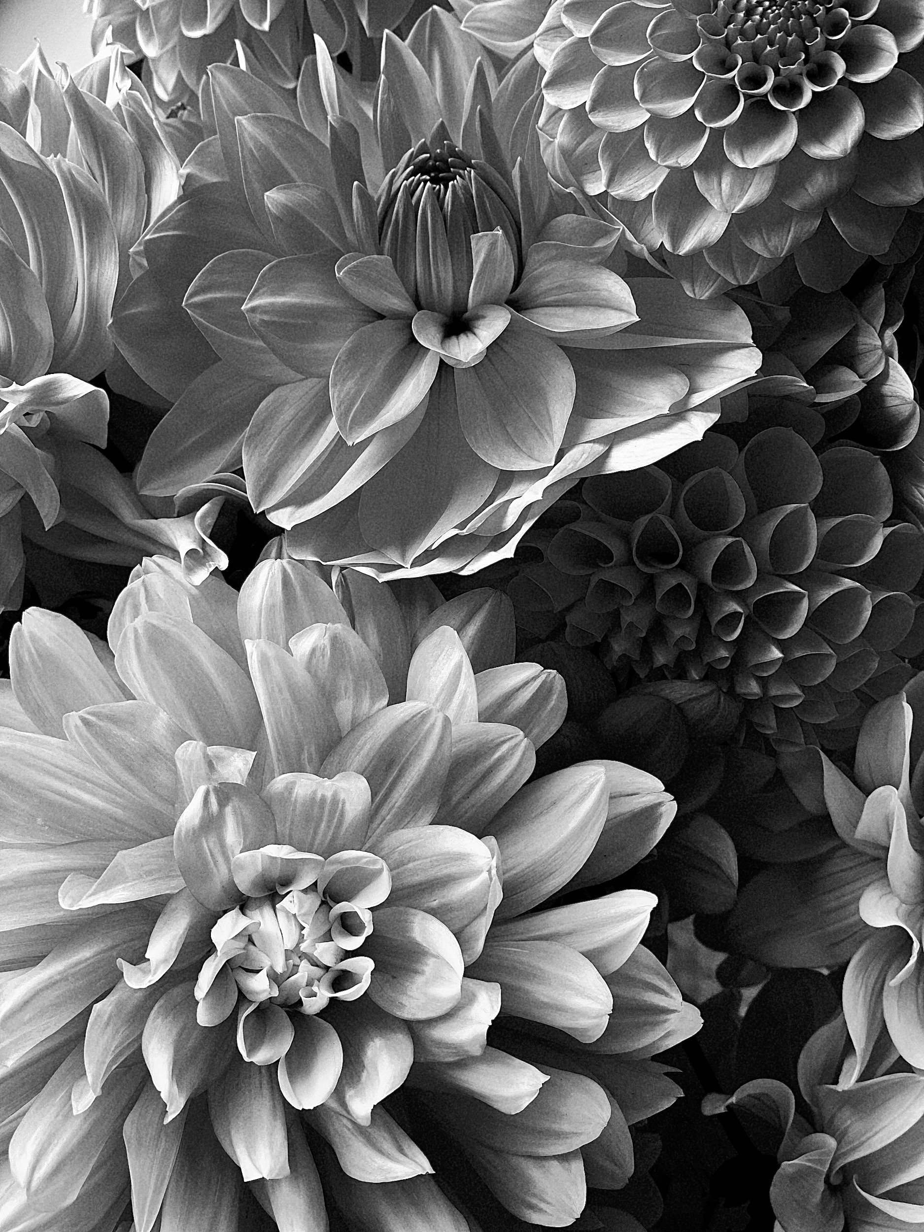Portfolio - 2 of 2.jpeg