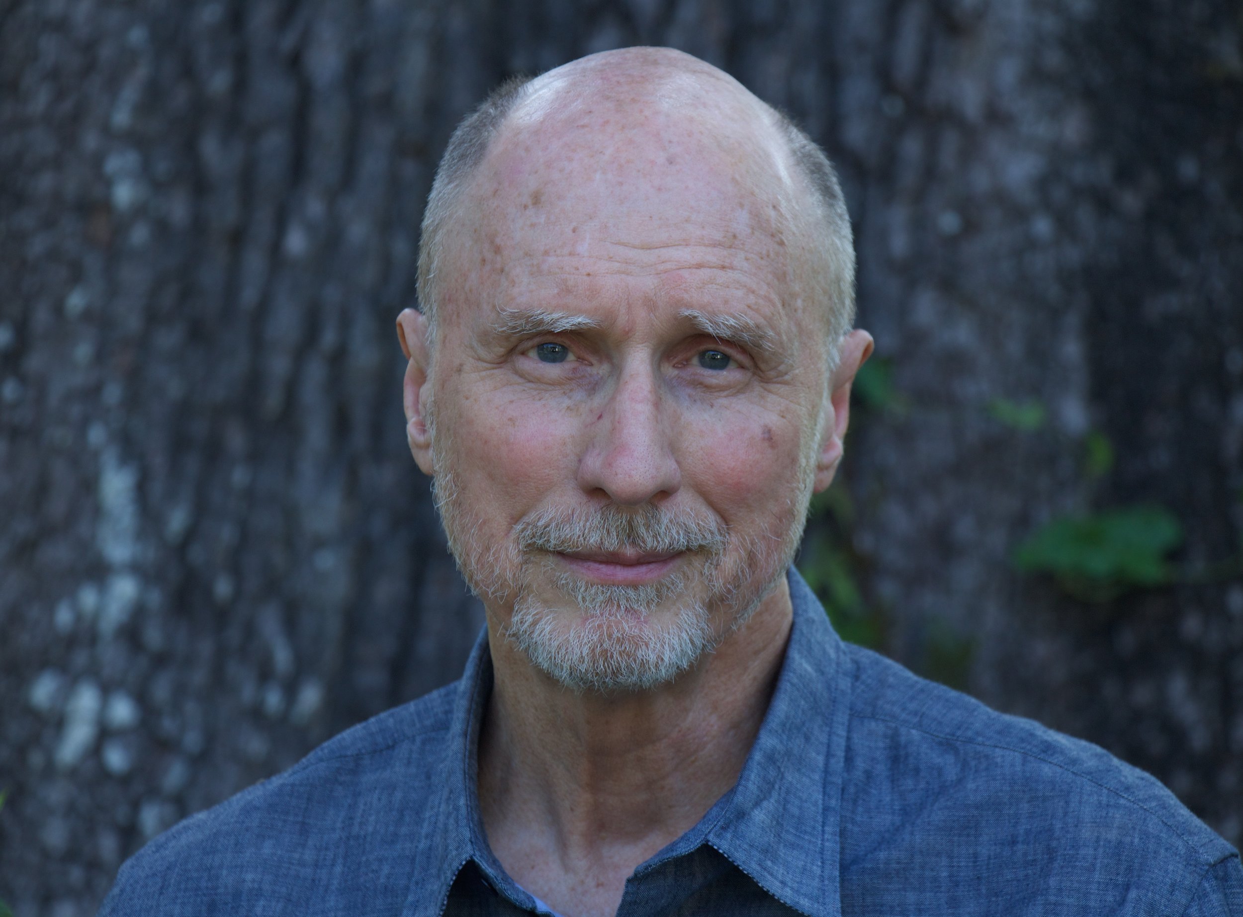 Robert Olen Butler, Author