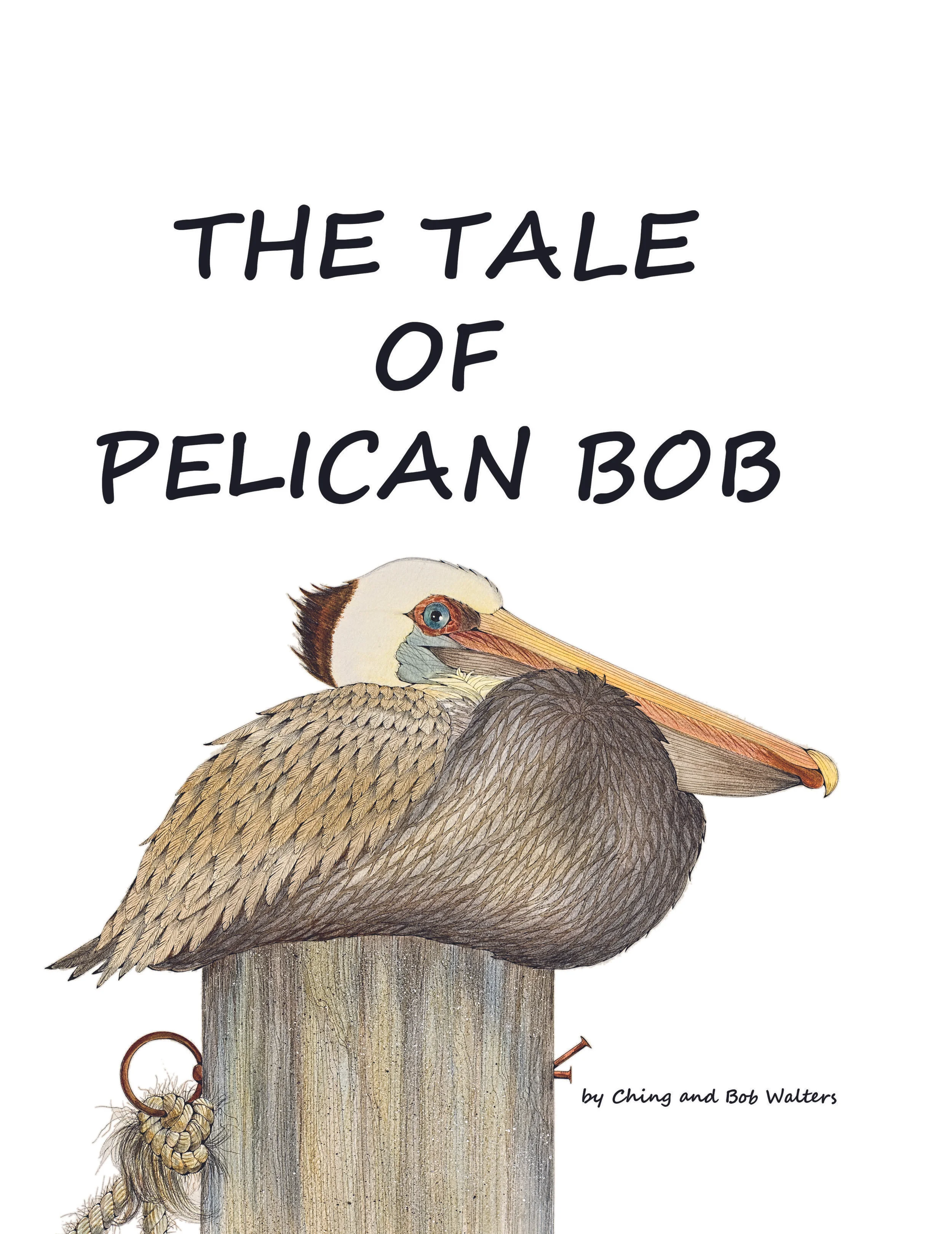 PELICAN BOB COVER front only.jpg