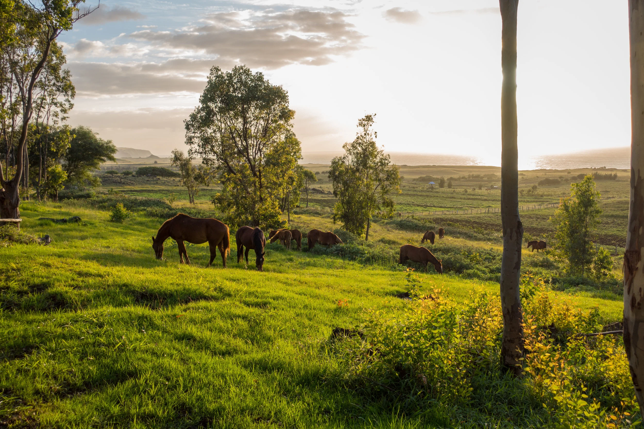 Easter Island, Chile