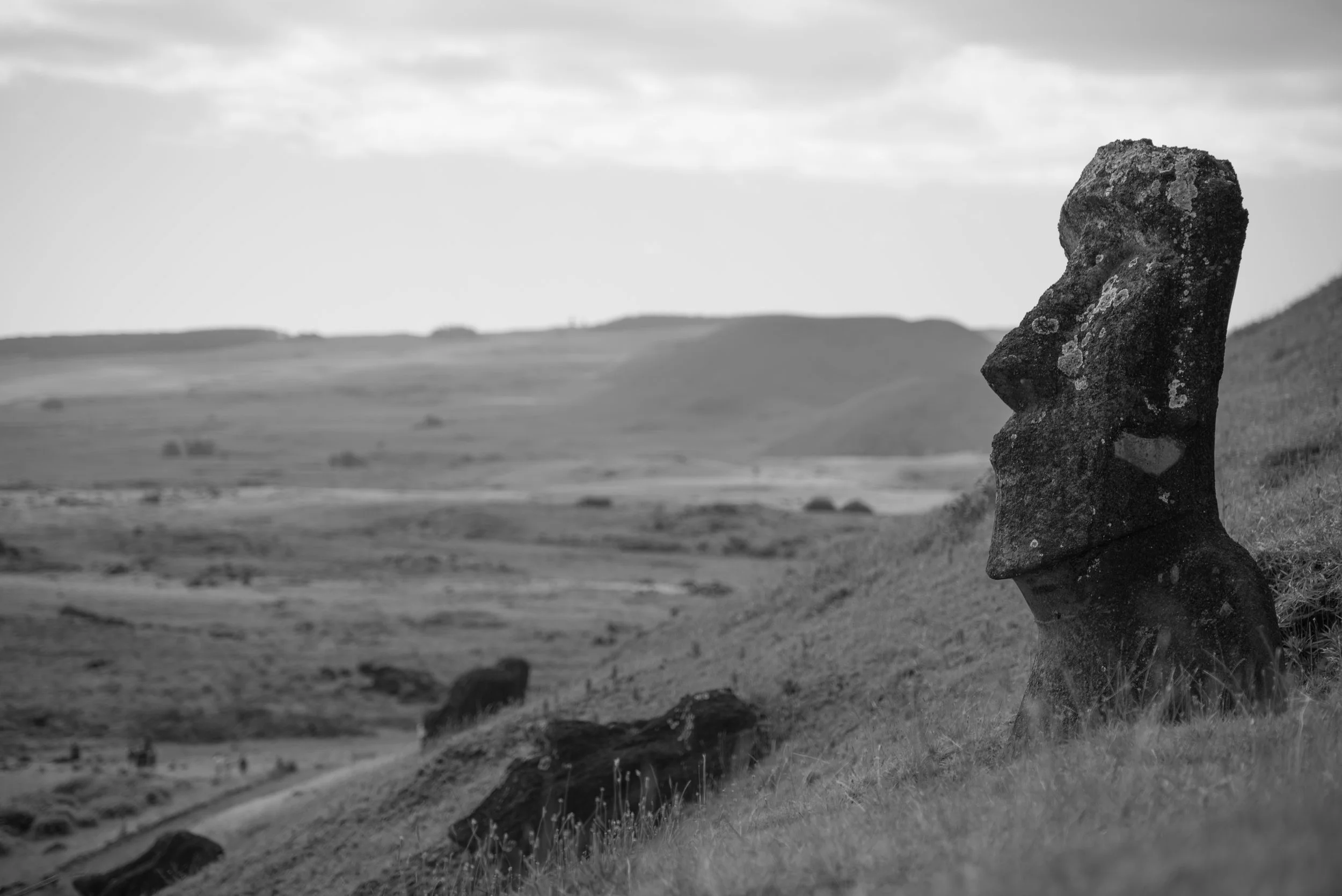 Moai Quarry, Easter Island