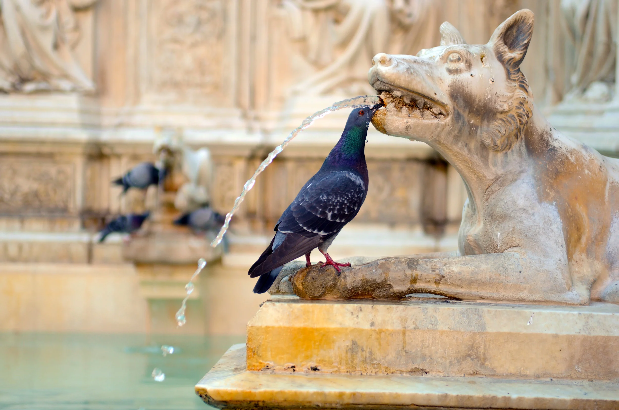 Siena, Italy