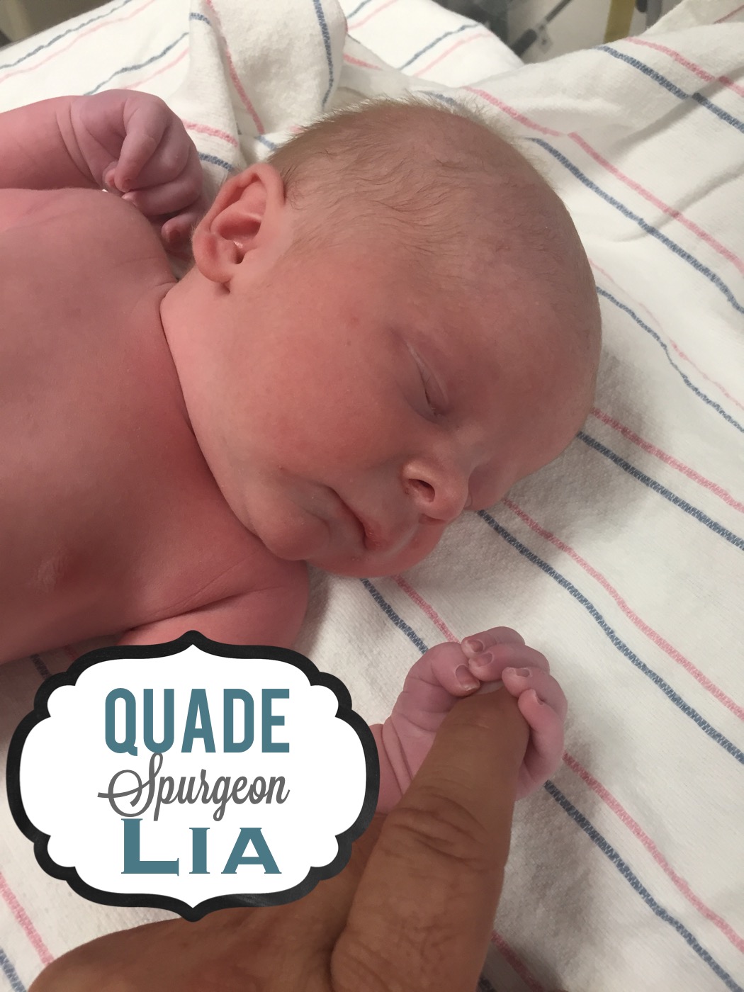 Quade Spurgeon Lia