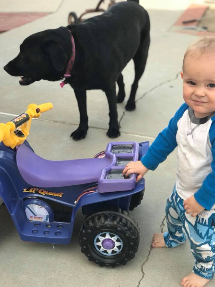 Quade at 15 months.jpg