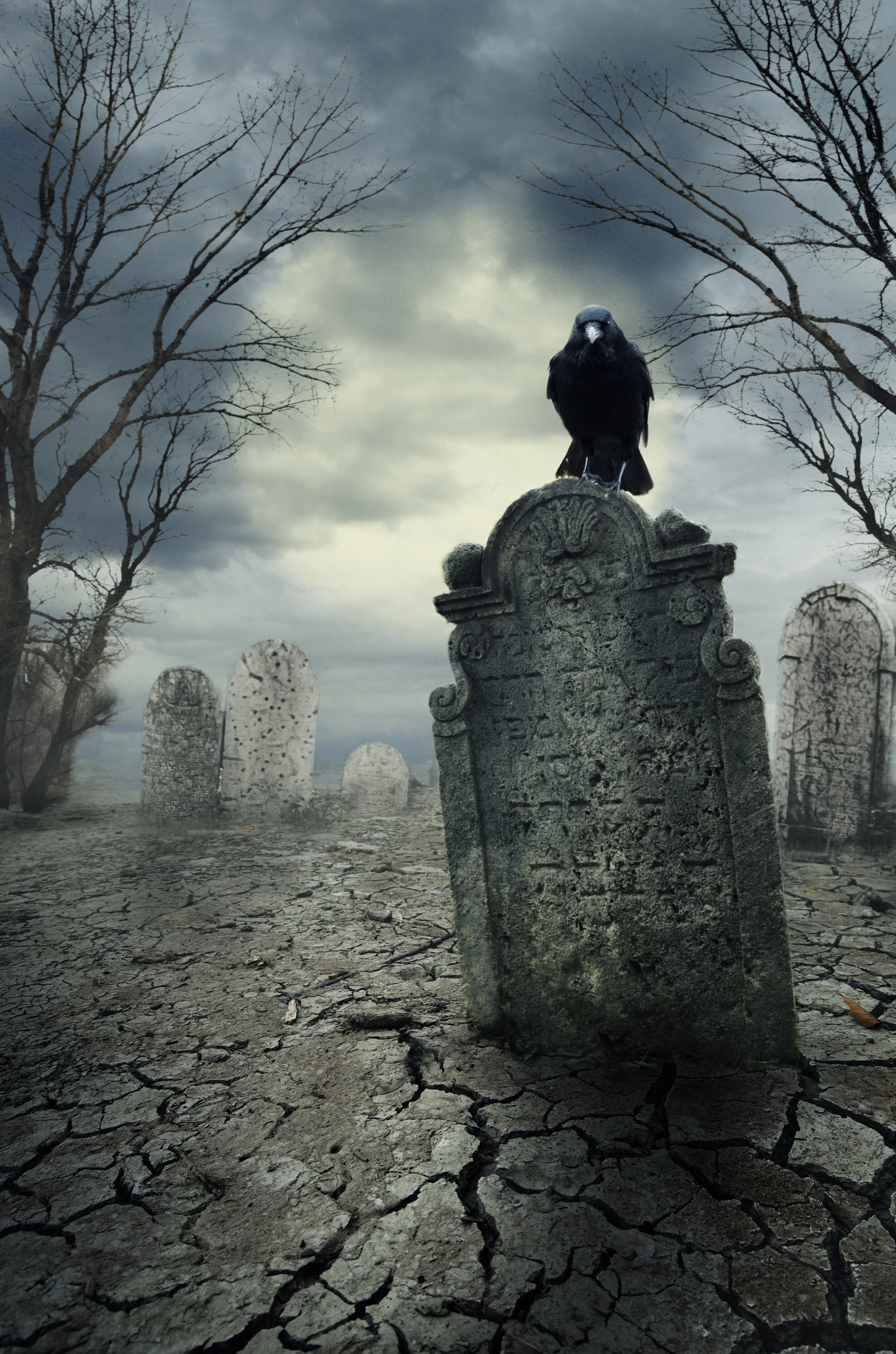 The Edgar Allen Poe AfterLife Radio Show