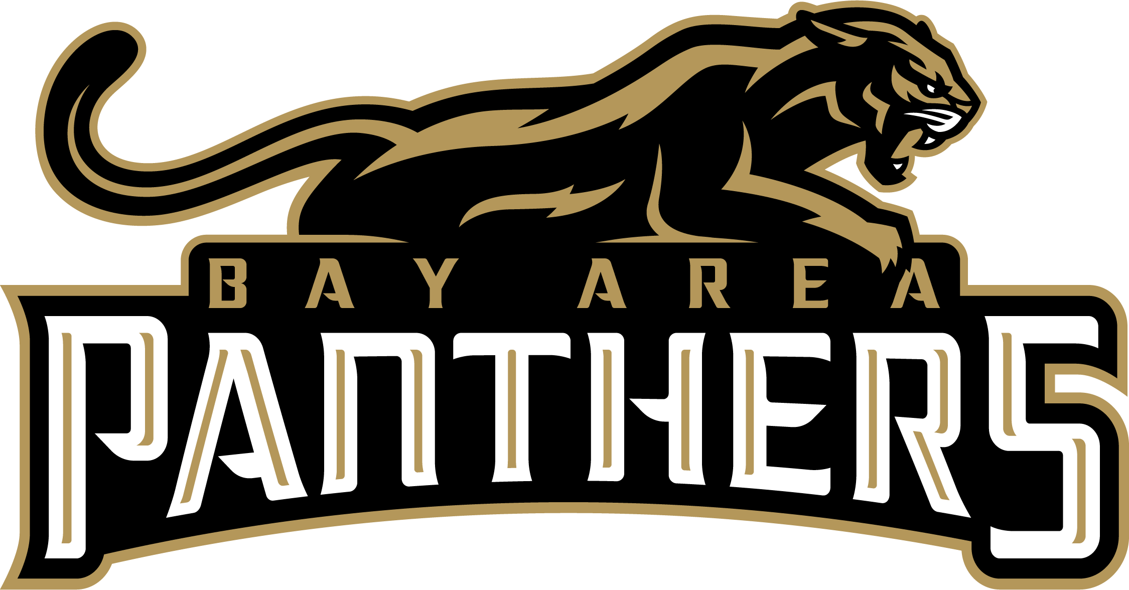 BayAreaPanthers-Primary_Logo-RGB (1).png