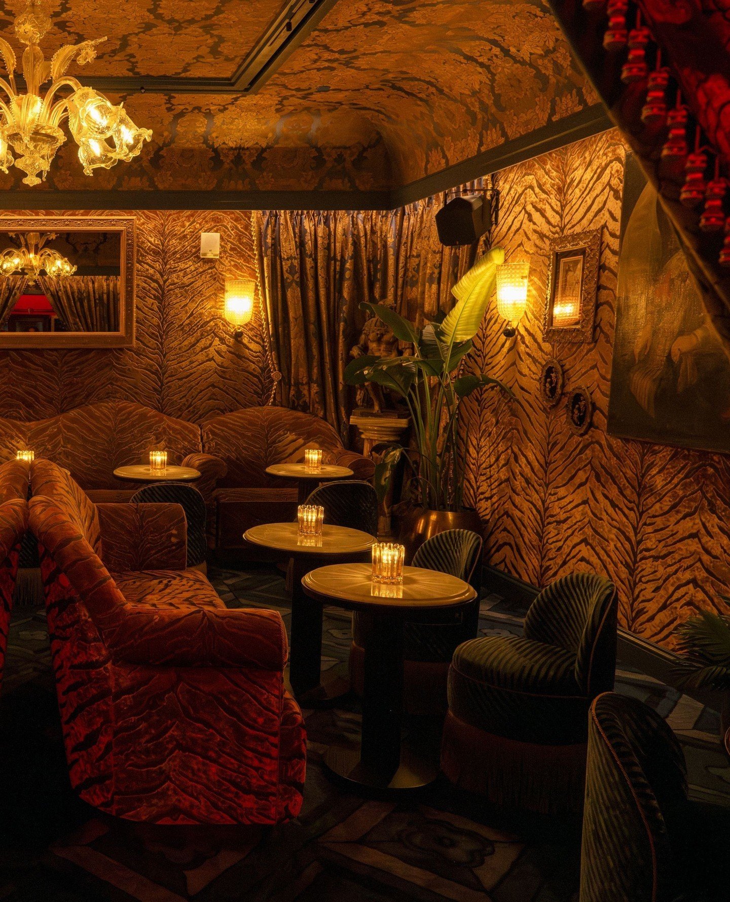 Evening reveries at Leo's. ZZ's Club New York.