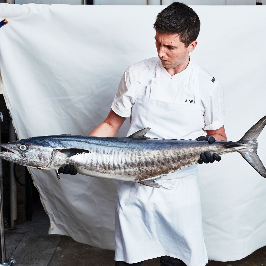 The large chapter continues with the very uniquely textured and wonderfully flavourful Spanish Mackerel. From Spanish Mackerel Diane to a Mackerel Curry with Fried Donuts. What a Fish! #tofbymrniland 
🔴🐟💪