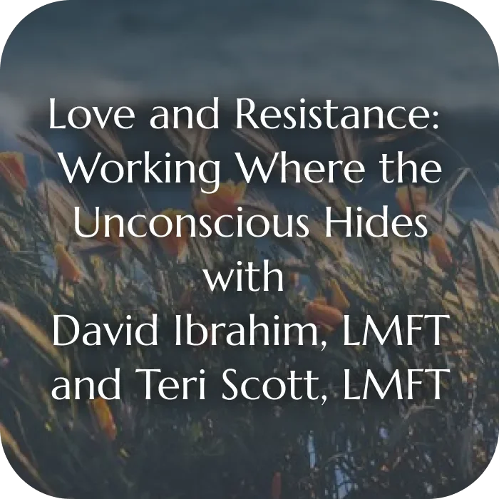 Online Workshop with David Ibrahim, LMFT and Teresa (Teri) Scott, LMFT – Friday, November 13, 2026 from 9:00am - 1:00pm PDT