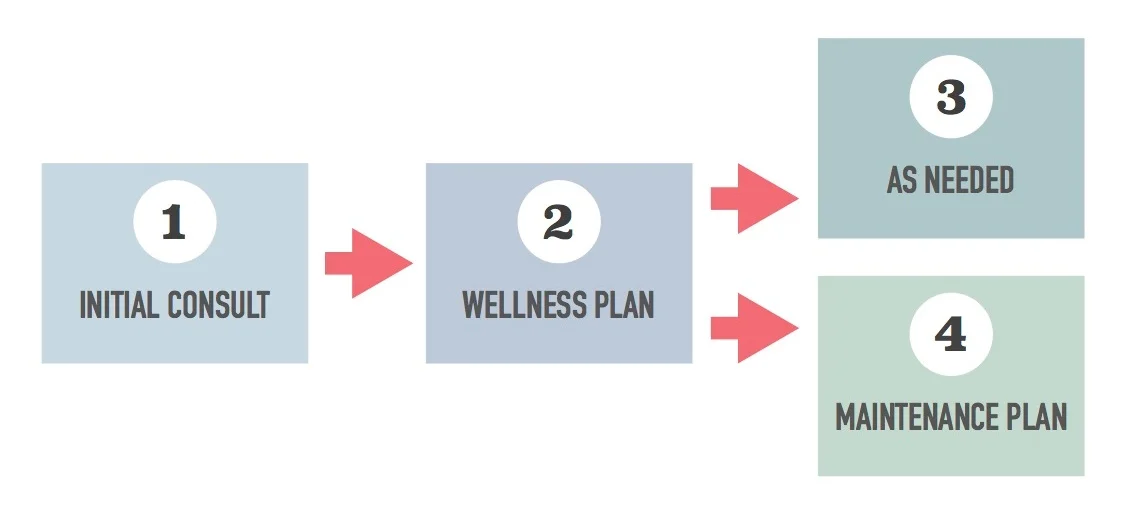 flow+chart+fees+for+website+graphic+.jpg