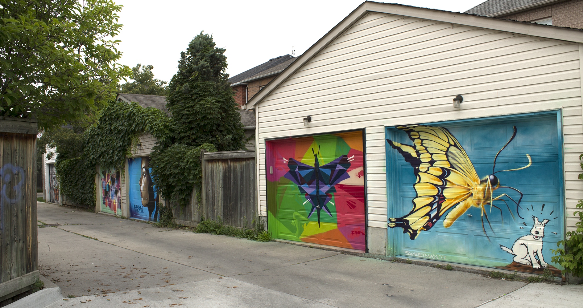 butterflyway12.png
