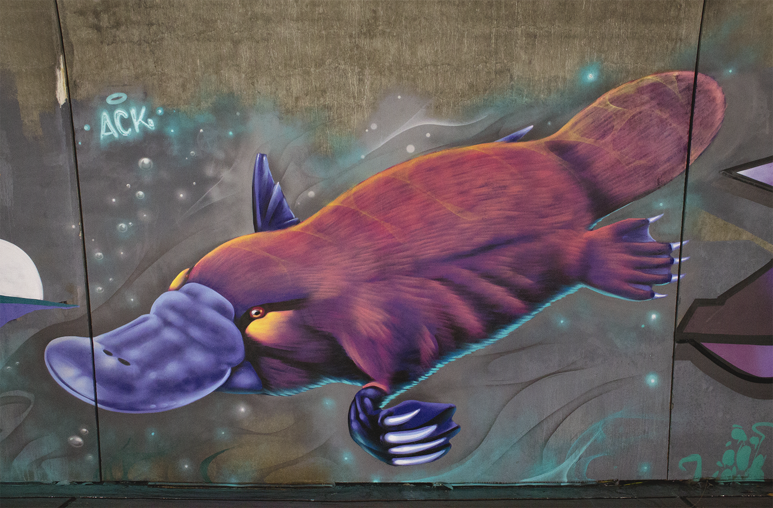 platypus.png